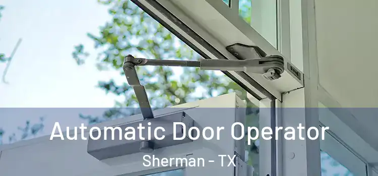 Automatic Door Operator Sherman - TX