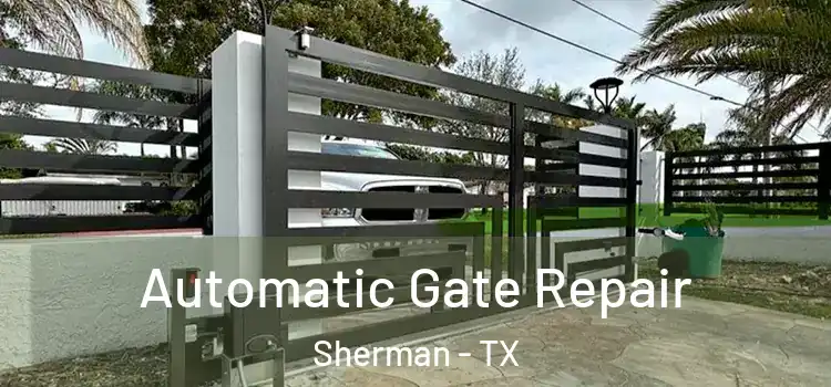 Automatic Gate Repair Sherman - TX