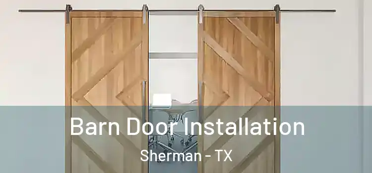  Barn Door Installation Sherman - TX