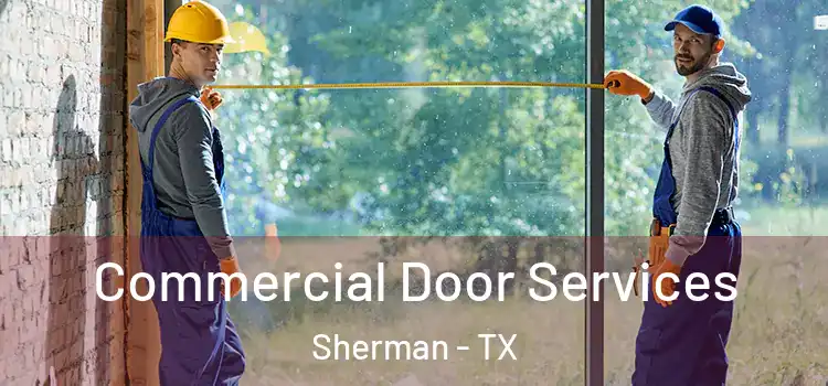  Commercial Door Services Sherman - TX
