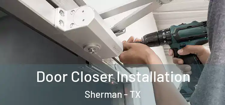  Door Closer Installation Sherman - TX