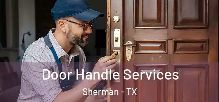 Door Handle Services Sherman - TX