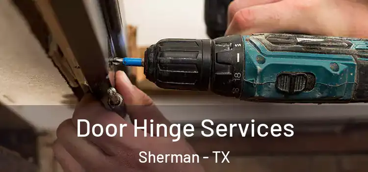 Door Hinge Services Sherman - TX