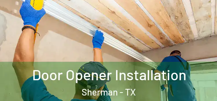  Door Opener Installation Sherman - TX