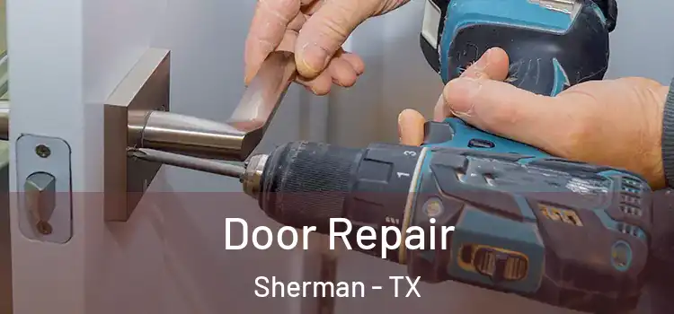  Door Repair Sherman - TX