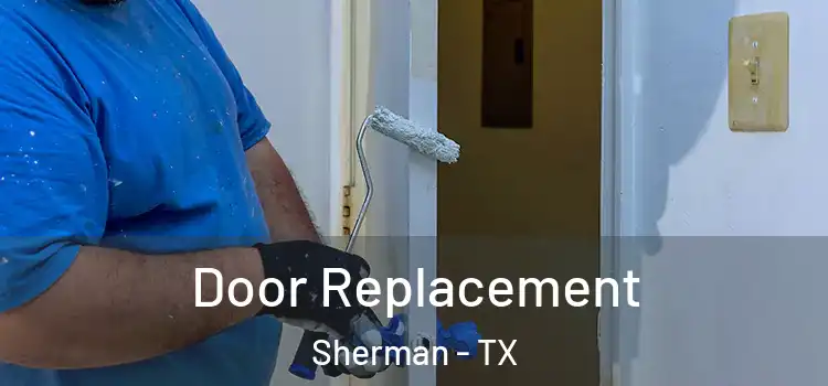 Door Replacement Sherman - TX