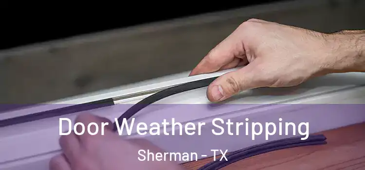 Door Weather Stripping Sherman - TX