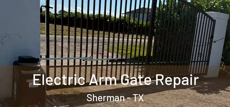  Electric Arm Gate Repair Sherman - TX