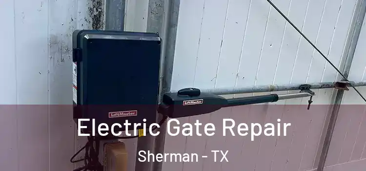 Electric Gate Repair Sherman - TX