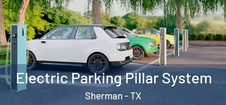  Electric Parking Pillar System Sherman - TX
