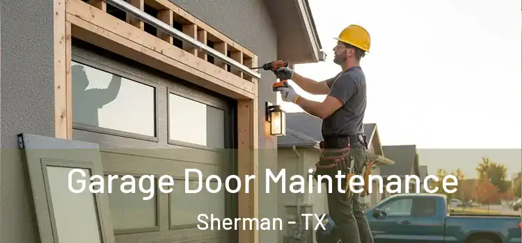 Garage Door Maintenance Sherman - TX