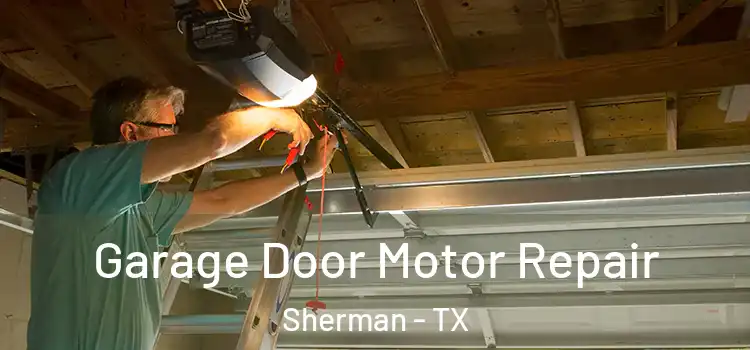  Garage Door Motor Repair Sherman - TX