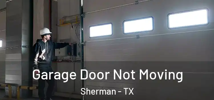  Garage Door Not Moving Sherman - TX