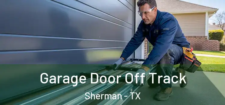  Garage Door Off Track Sherman - TX