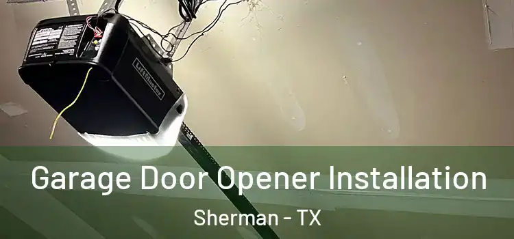  Garage Door Opener Installation Sherman - TX