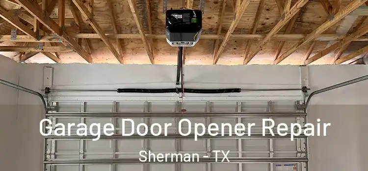  Garage Door Opener Repair Sherman - TX
