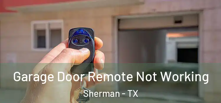  Garage Door Remote Not Working Sherman - TX