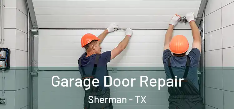  Garage Door Repair Sherman - TX