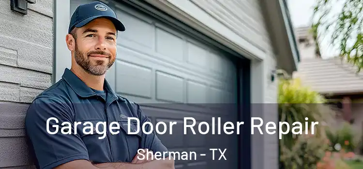  Garage Door Roller Repair Sherman - TX