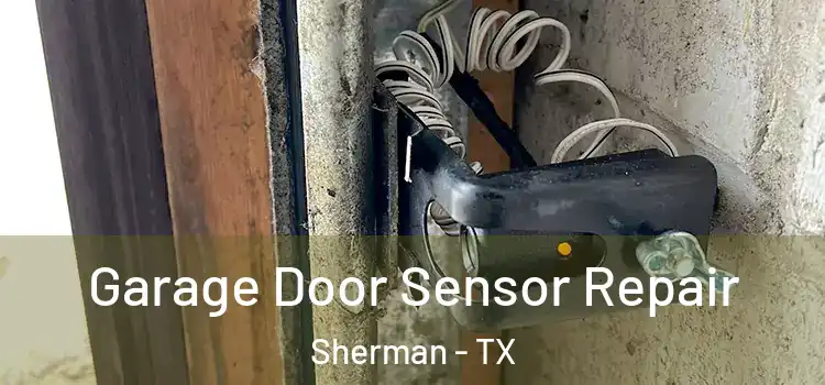  Garage Door Sensor Repair Sherman - TX