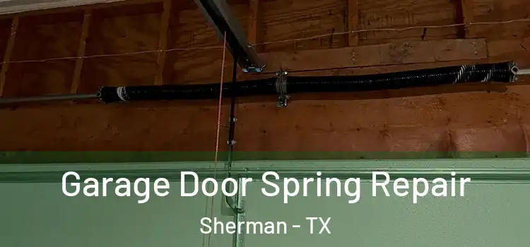  Garage Door Spring Repair Sherman - TX