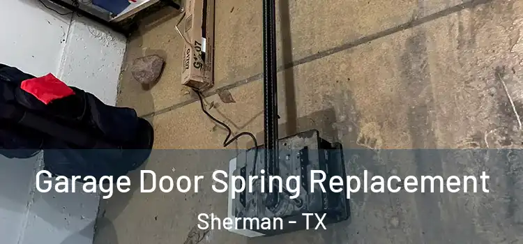  Garage Door Spring Replacement Sherman - TX