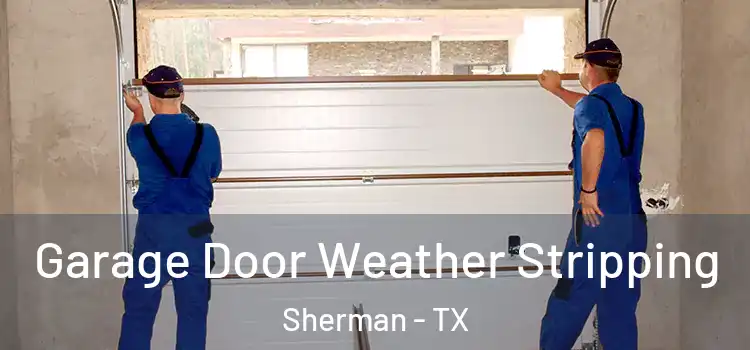  Garage Door Weather Stripping Sherman - TX