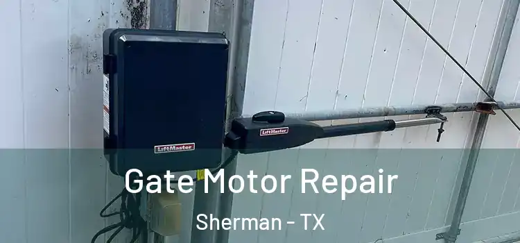 Gate Motor Repair Sherman - TX