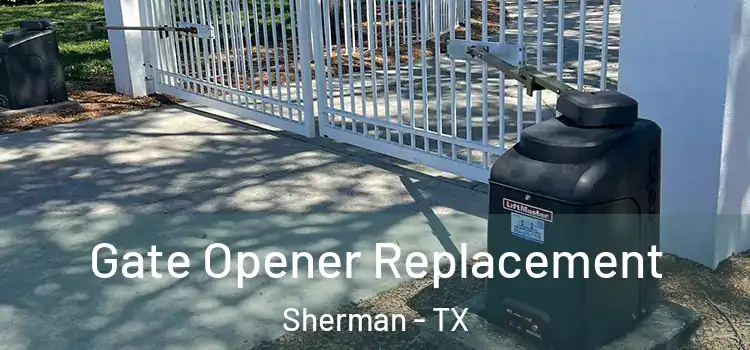 Gate Opener Replacement Sherman - TX