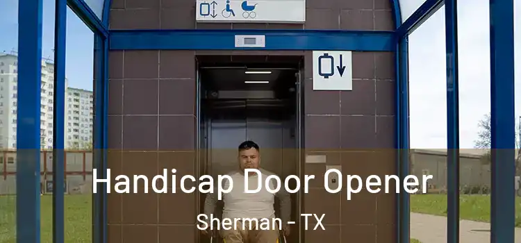  Handicap Door Opener Sherman - TX