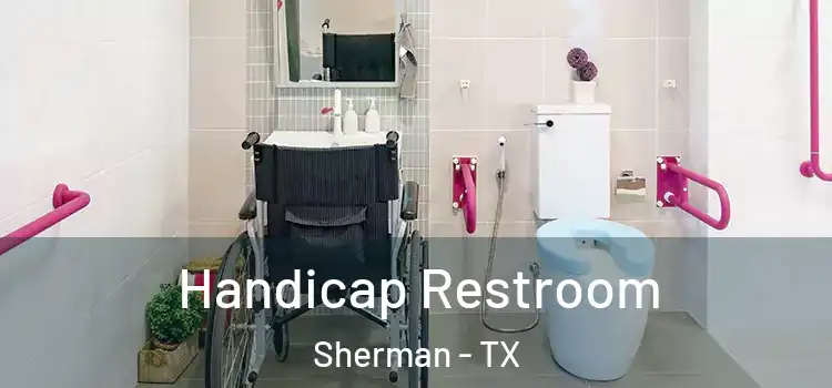  Handicap Restroom Sherman - TX