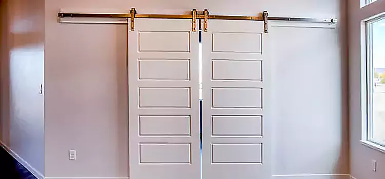Glass Barn Door with Installation Hardware Kit Sherman