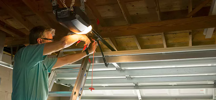 Garage Door Opener Sales and Installation Sherman