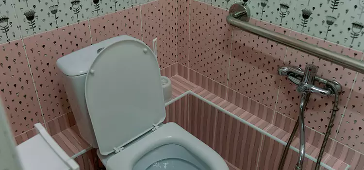 Meeting Diverse Needs With Accessible Restroom Solutions in Sherman, TX