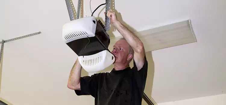 Garage Door Opener Service Sherman