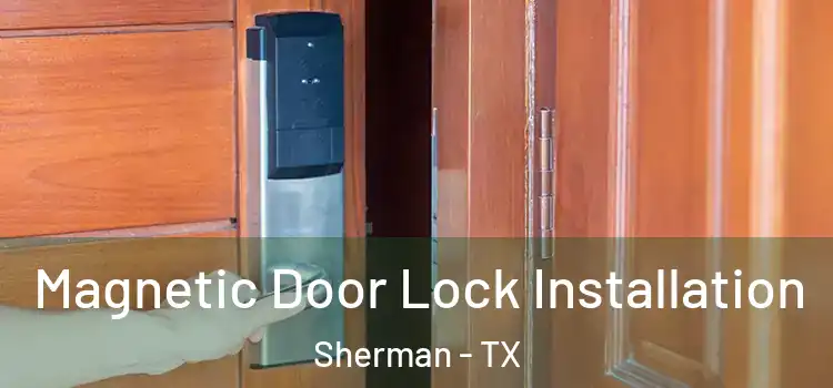  Magnetic Door Lock Installation Sherman - TX