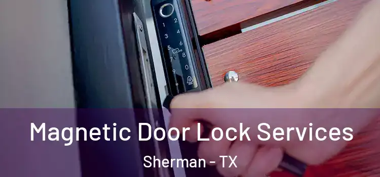  Magnetic Door Lock Services Sherman - TX