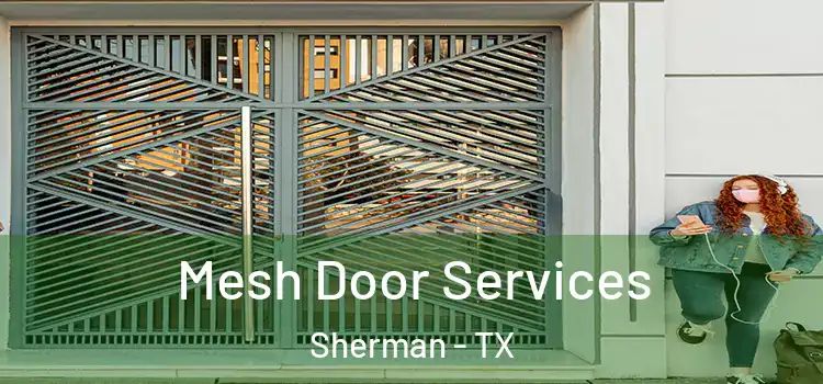  Mesh Door Services Sherman - TX