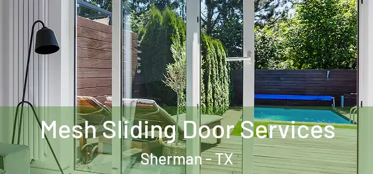  Mesh Sliding Door Services Sherman - TX