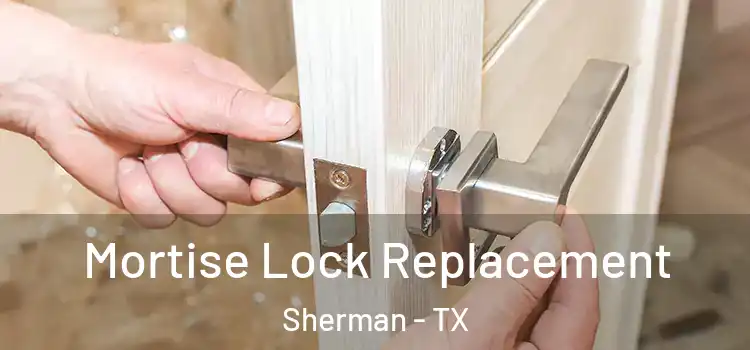 Mortise Lock Replacement Sherman - TX