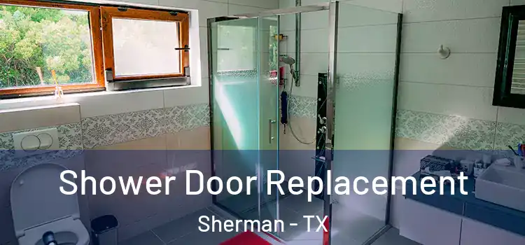 Shower Door Replacement Sherman - TX