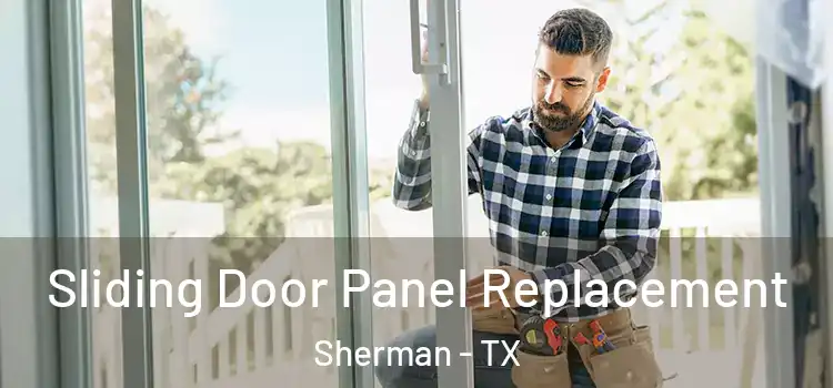  Sliding Door Panel Replacement Sherman - TX