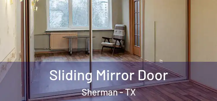  Sliding Mirror Door Sherman - TX