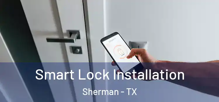 Smart Lock Installation Sherman - TX