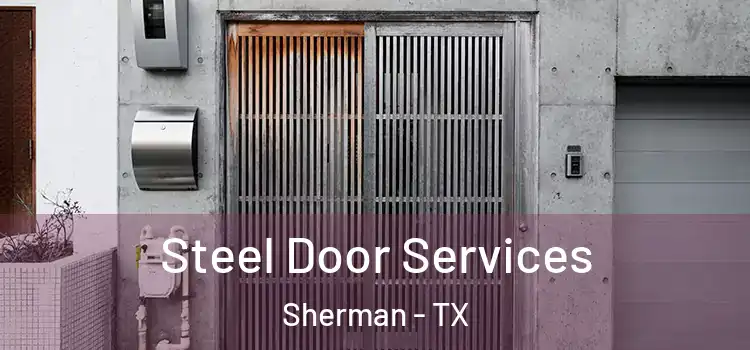 Steel Door Services Sherman - TX